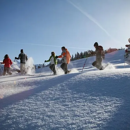 T3 Alpenhotel Garfrescha 3*