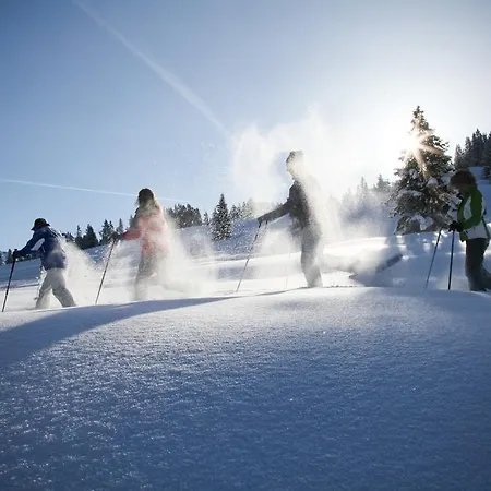 T3 Alpenhotel Garfrescha Otel 3*