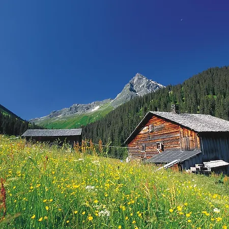 T3 Alpenhotel Garfrescha 3*