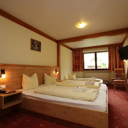 T3 Alpenhotel Garfrescha 3*