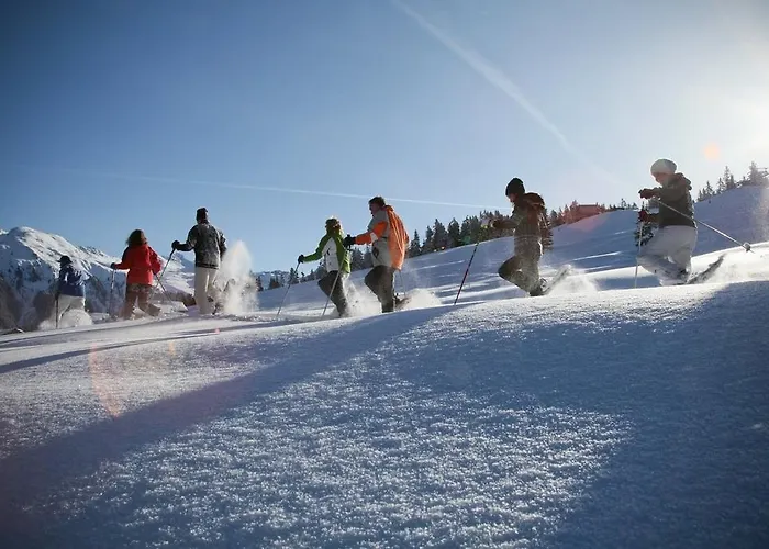 T3 Alpenhotel Garfrescha 3*